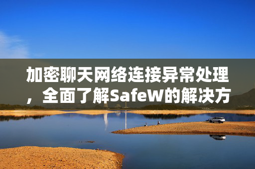 加密聊天网络连接异常处理，全面了解SafeW的解决方案