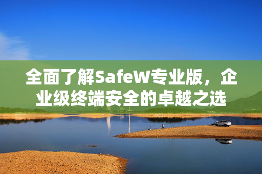 全面了解SafeW专业版，企业级终端安全的卓越之选
